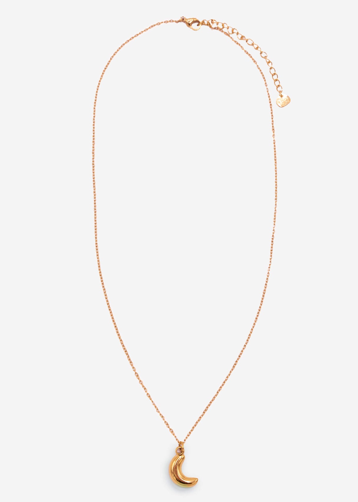 Necklace with moon pendant - gold