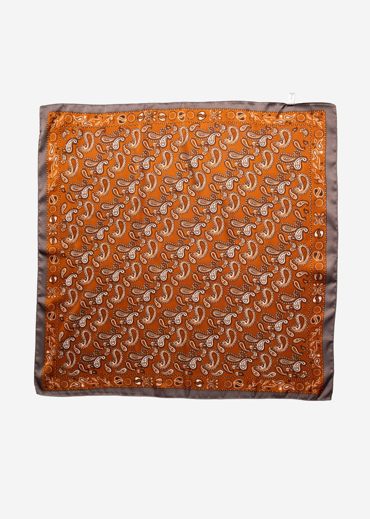 Paisley print scarf - orange