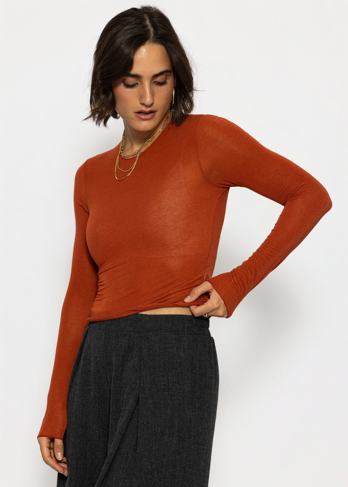 Leicht transparentes Langarmshirt mit Rundhals - rostrot