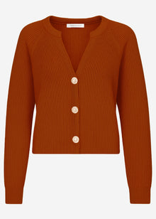 Cardigan mit V-Ausschnitt - braun