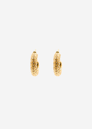 Hoop earrings with glitter stones - gold