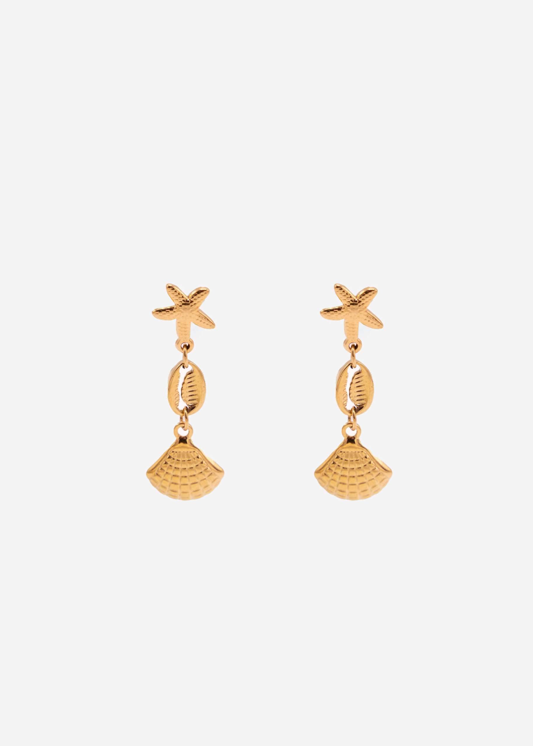 Ohrstecker mit Muscheln und Seestern - gold